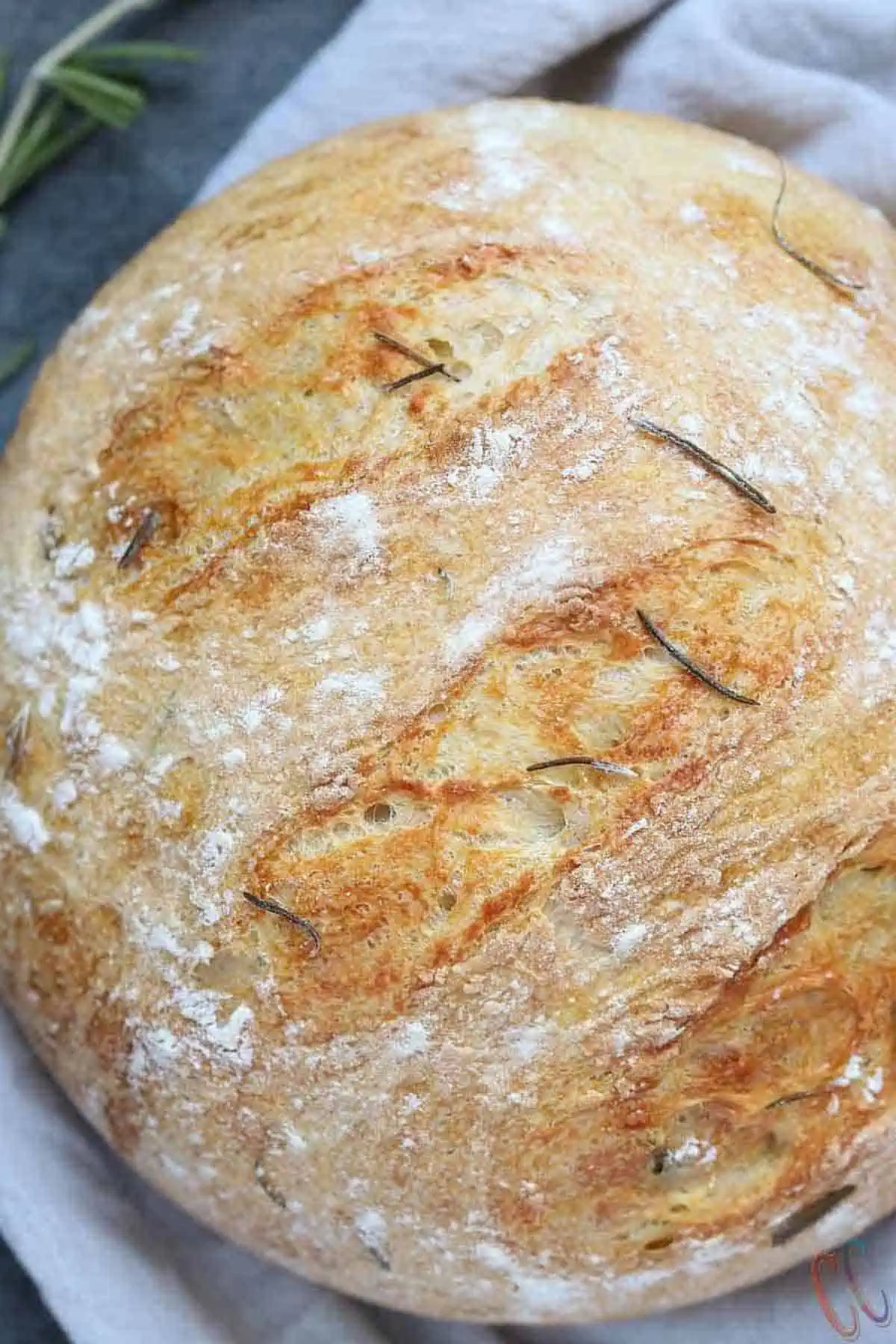 close up shot of instant pot bread.