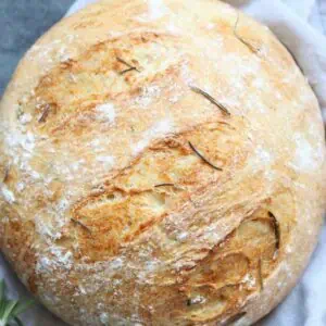Instant pot no knead rosemary and olive oil bread.