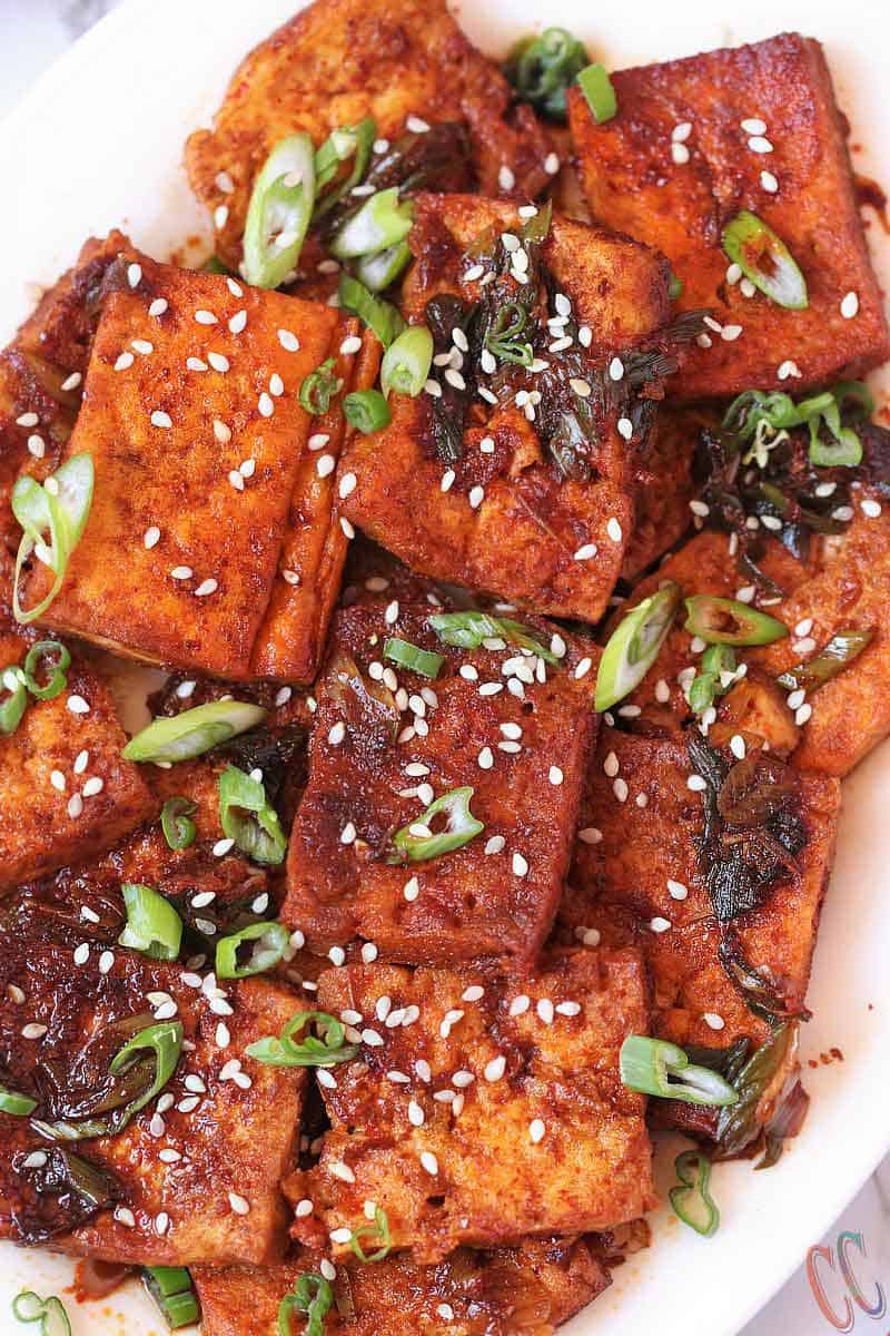Spicy Braised Tofu / Dubu Jorim - A traditional Korean dish made with pan fried tofu, braised in a savory-spicy sauce with green onions and garlic. It's juicy, a little spicy and delicious. It is the best Korean Side Dish served with Rice, Noodles or with Coconut Quinoa.