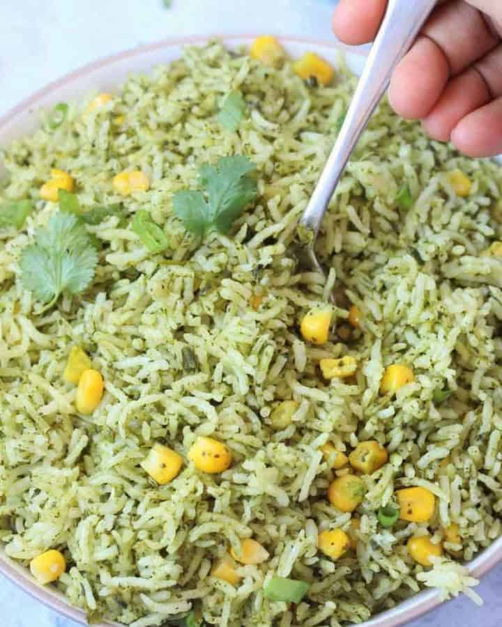 Taking a bite of Mexican Arroz Verde aka Green rice with spoon