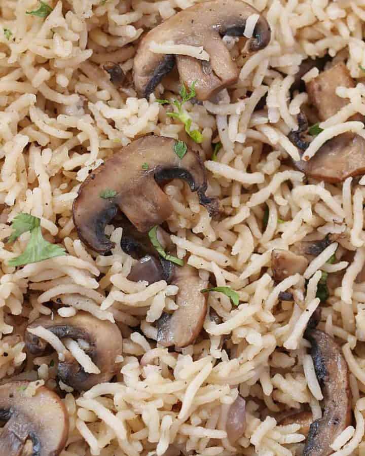 close up shot of instant pot rice
