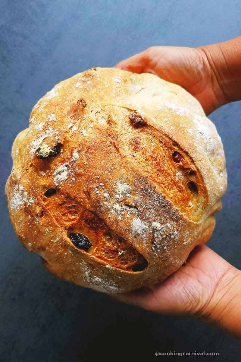 Holding cranberry walnut no knead bread in hand