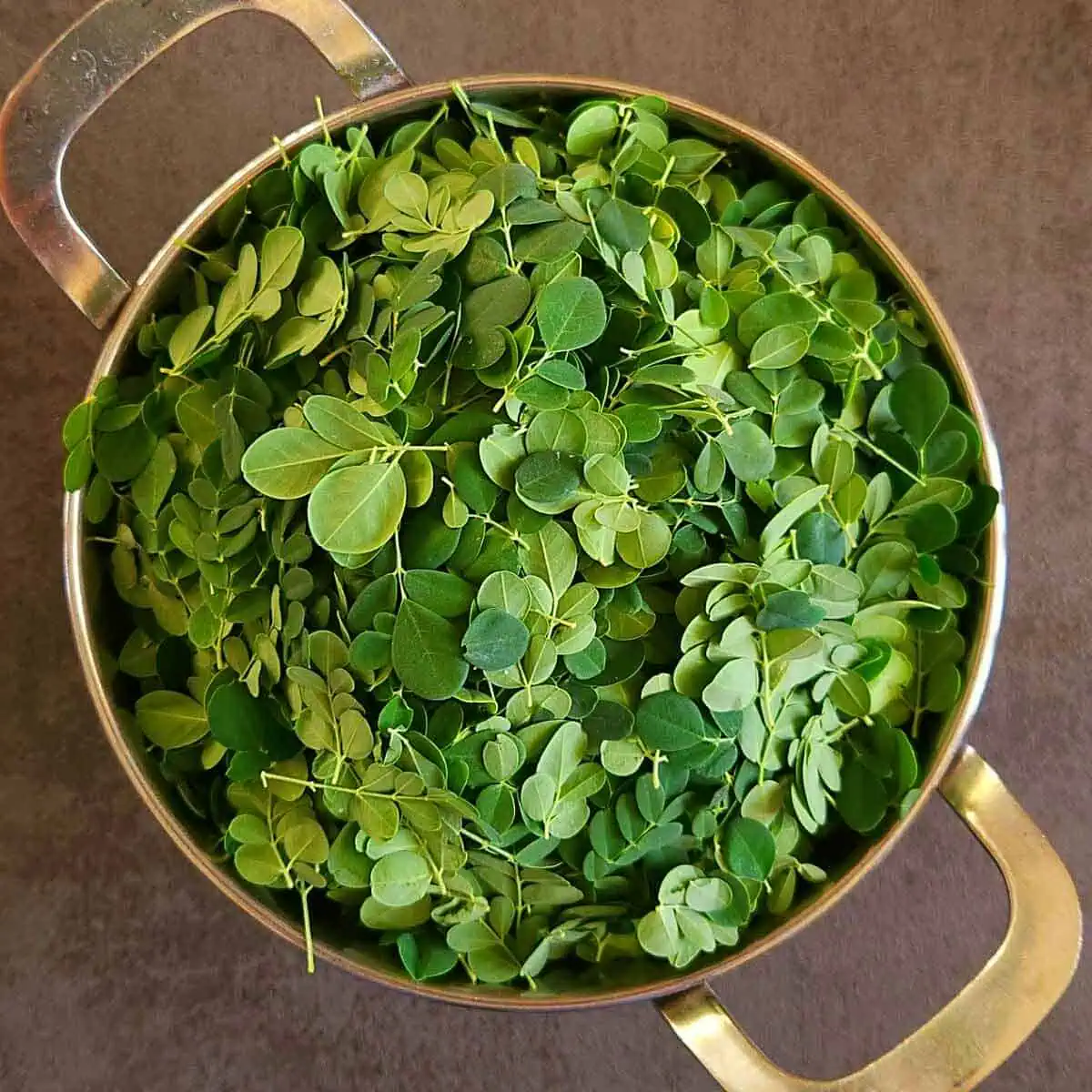 fresh moringa leaves in a colander.
