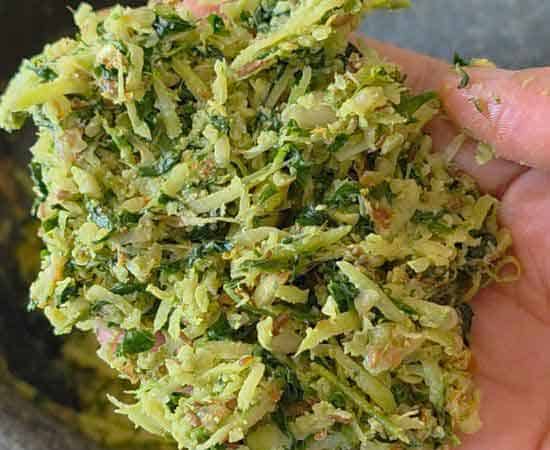 holding moringa kairi thecha in hoand.