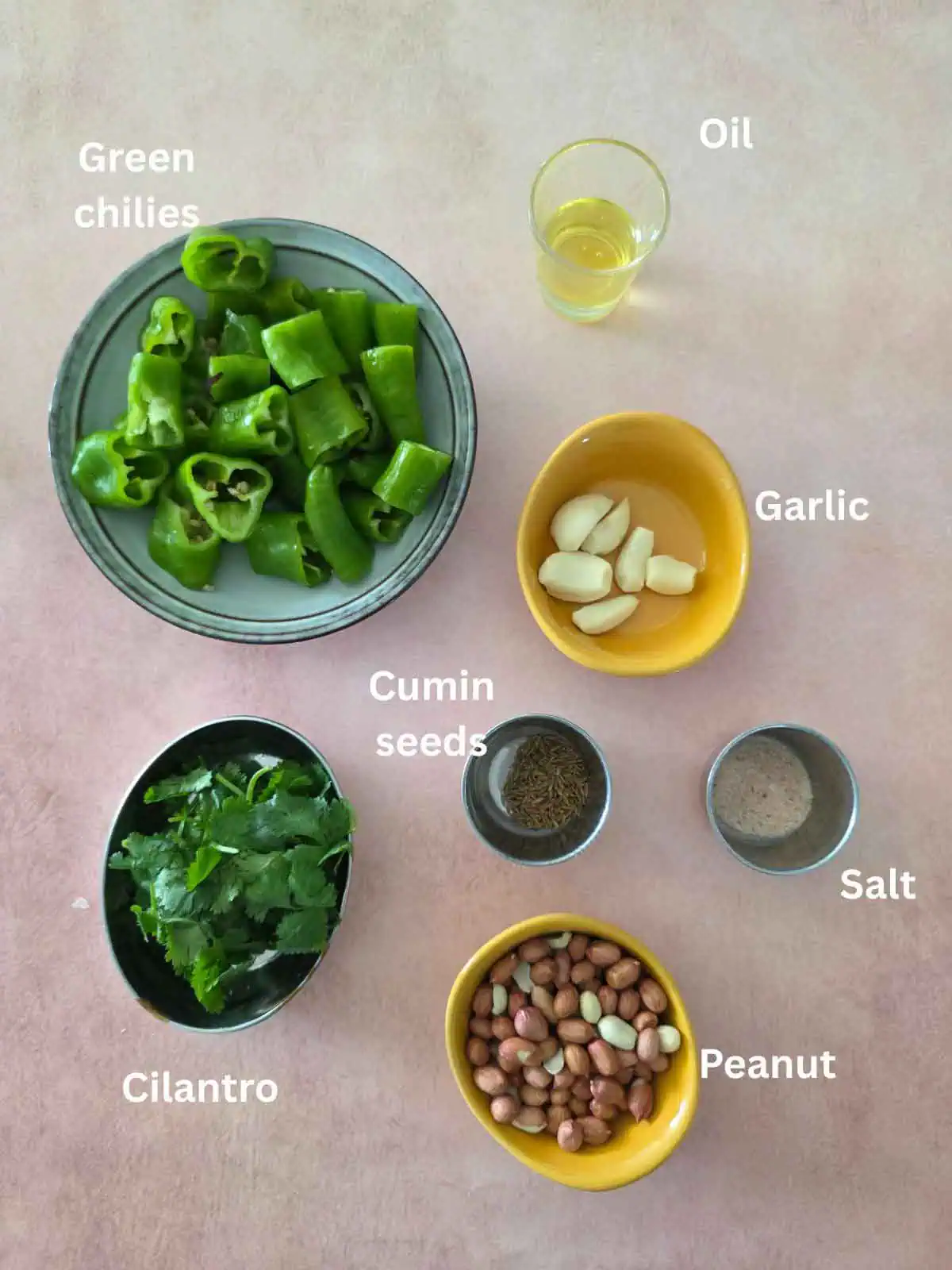 pre measured ingredients for thecha